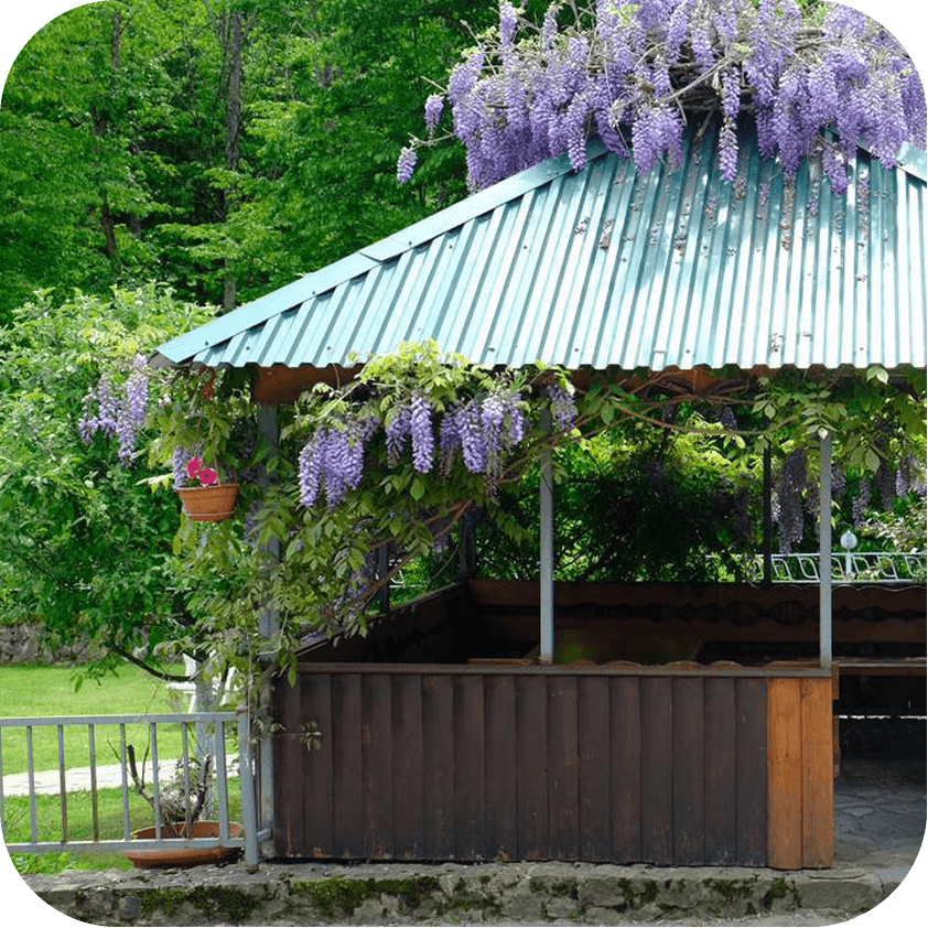 Беседка на территории базы отдыха ВАДОЛЬ